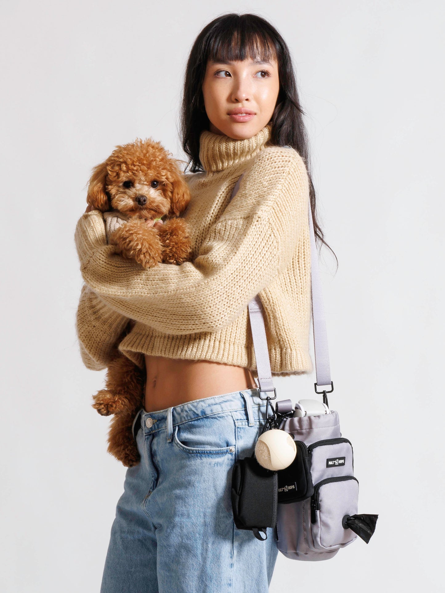 Light Grey Water Bottle Dog Walking Bag