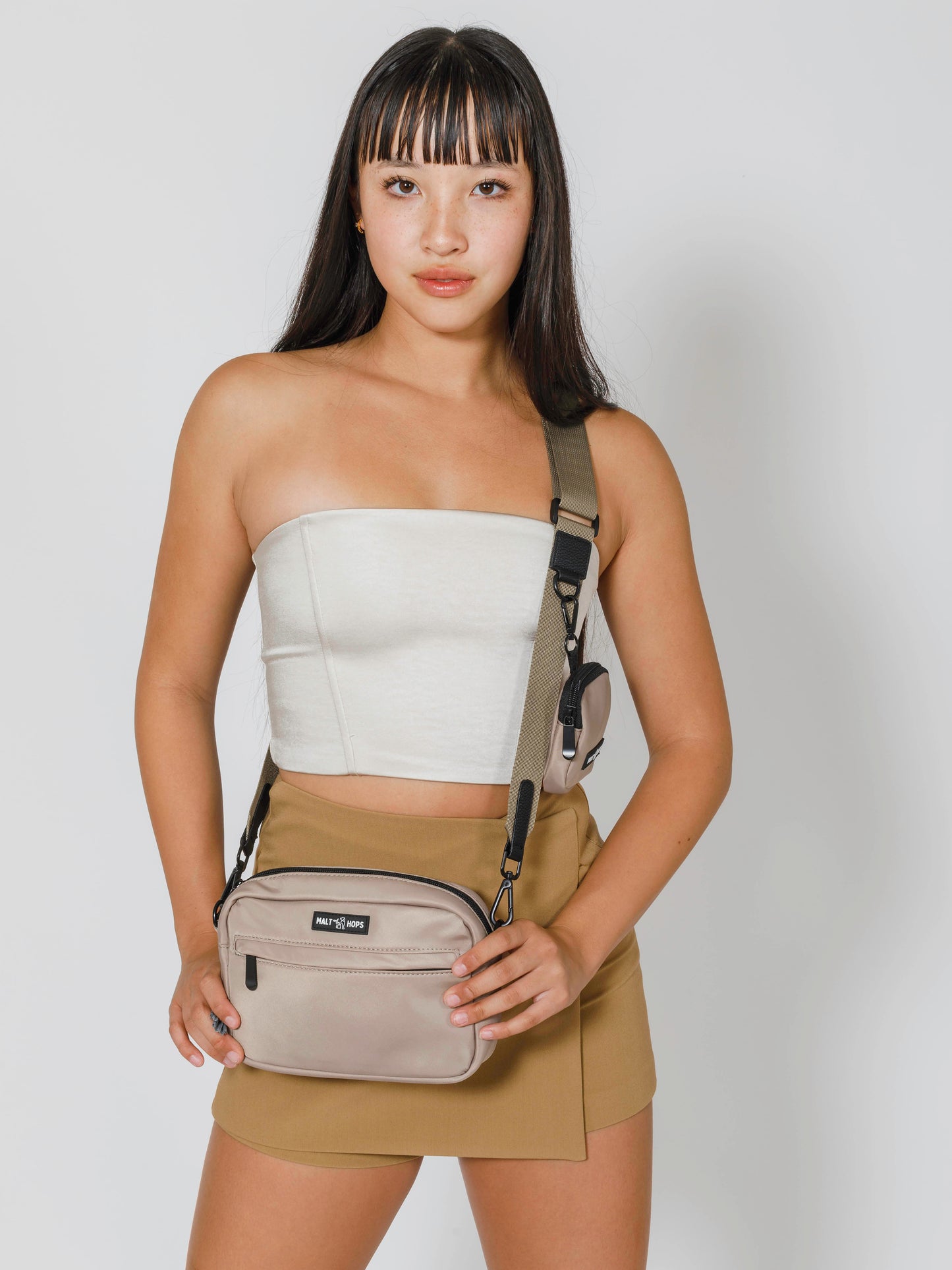 Smokey Taupe Ale Dog Walking Bag Set