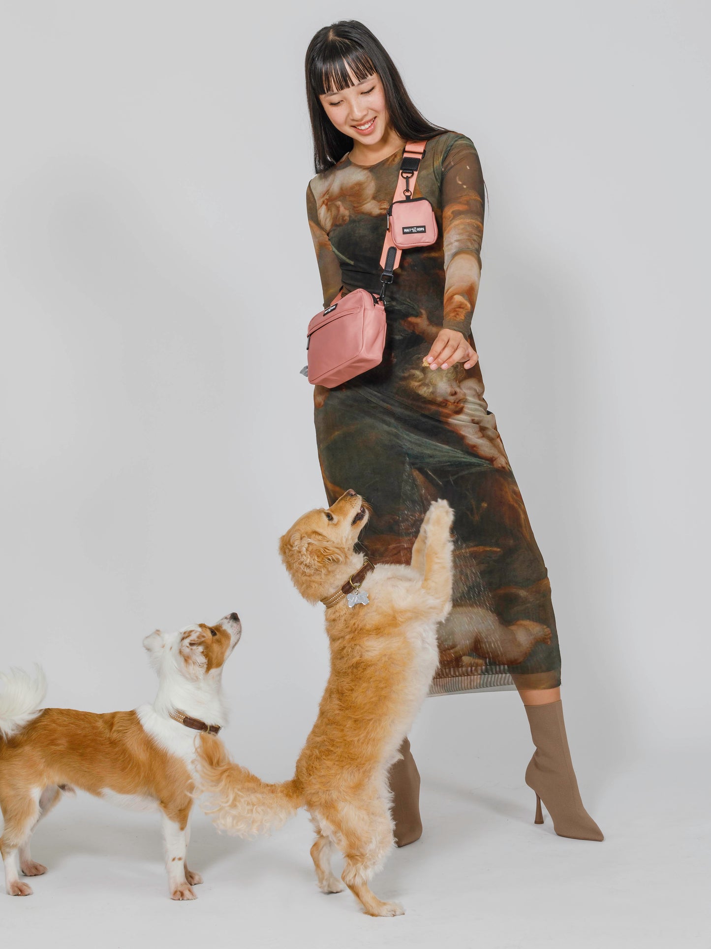 Hazy Mauve Hef Dog Walking Bag Set