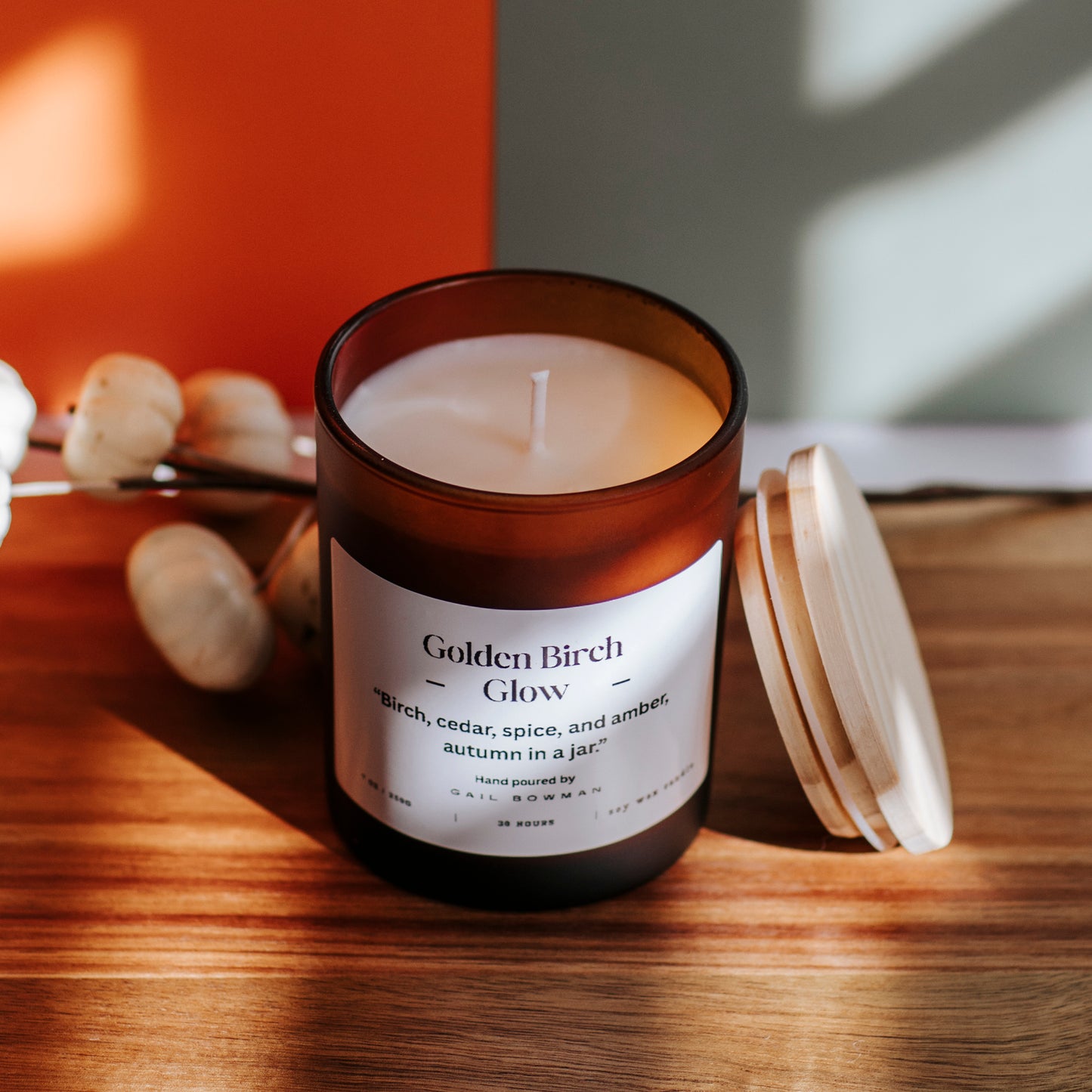 Cozy FALL Vibes Collection (Seasonal)