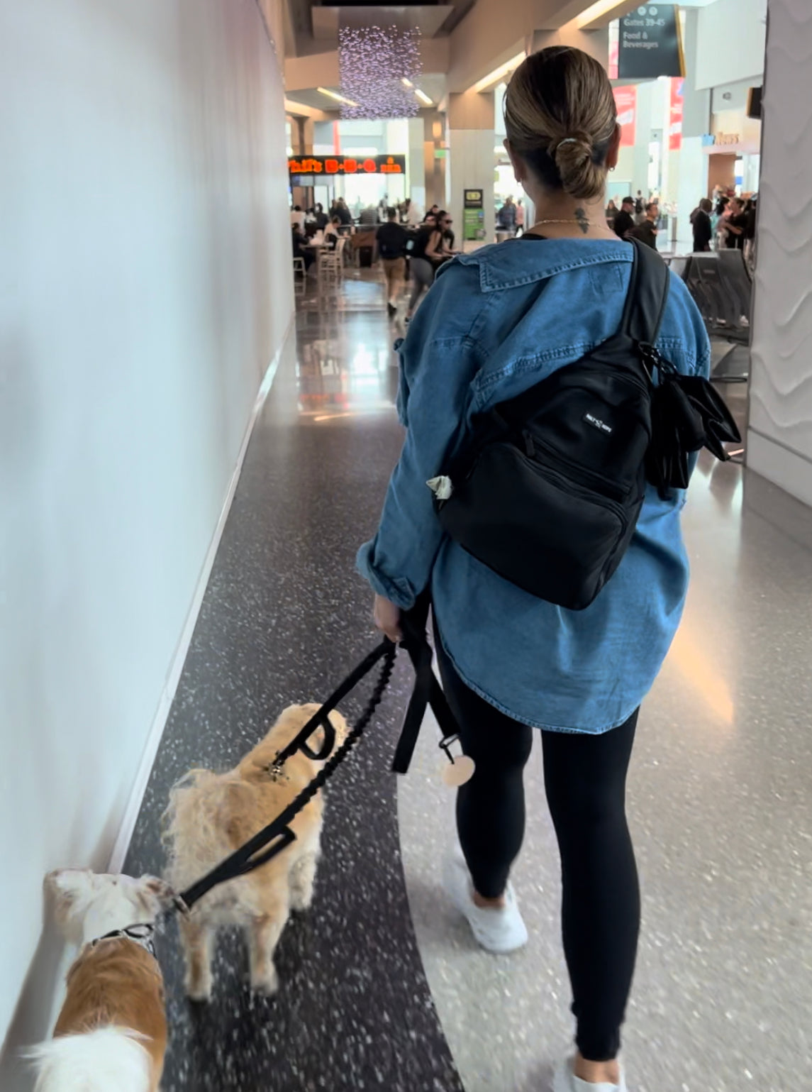 Black Bock Sling Dog Walking Backpack