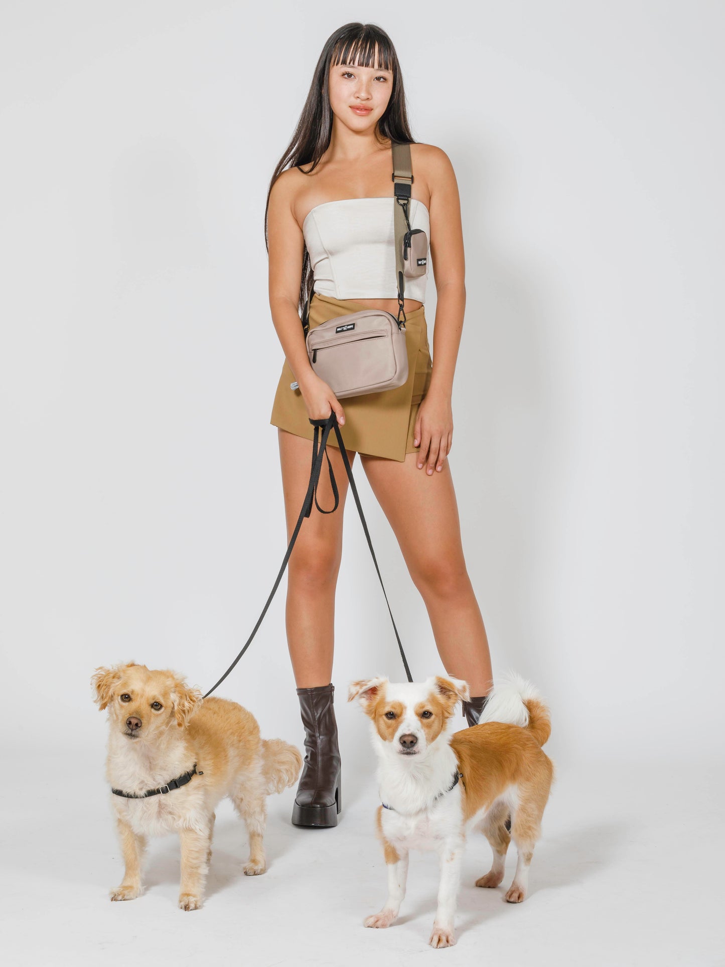 Smokey Taupe Ale Dog Walking Bag Set