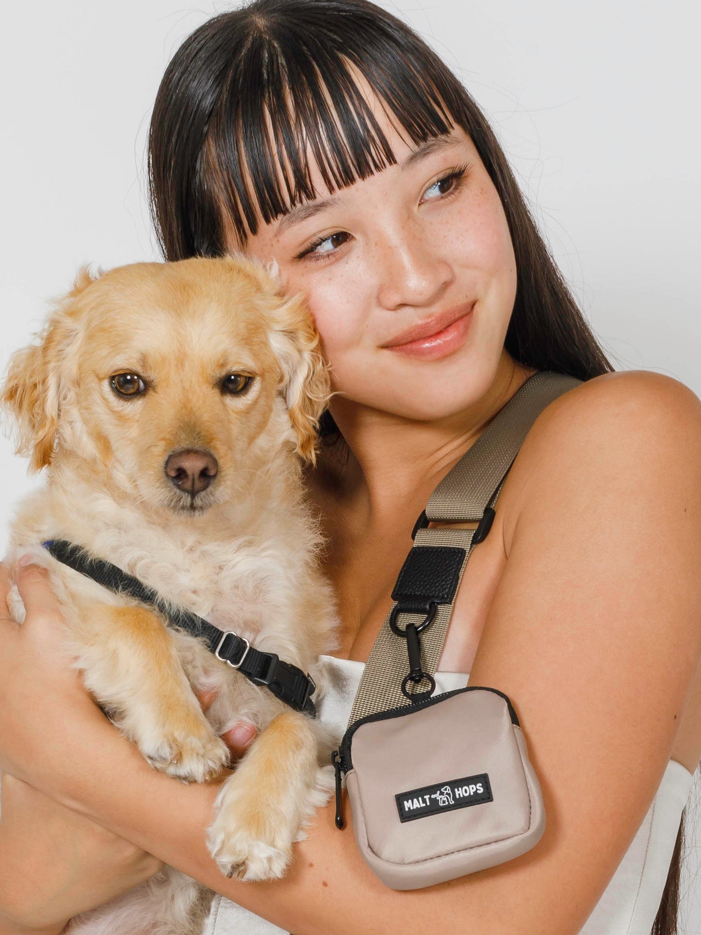 Smokey Taupe Ale Dog Walking Bag Set