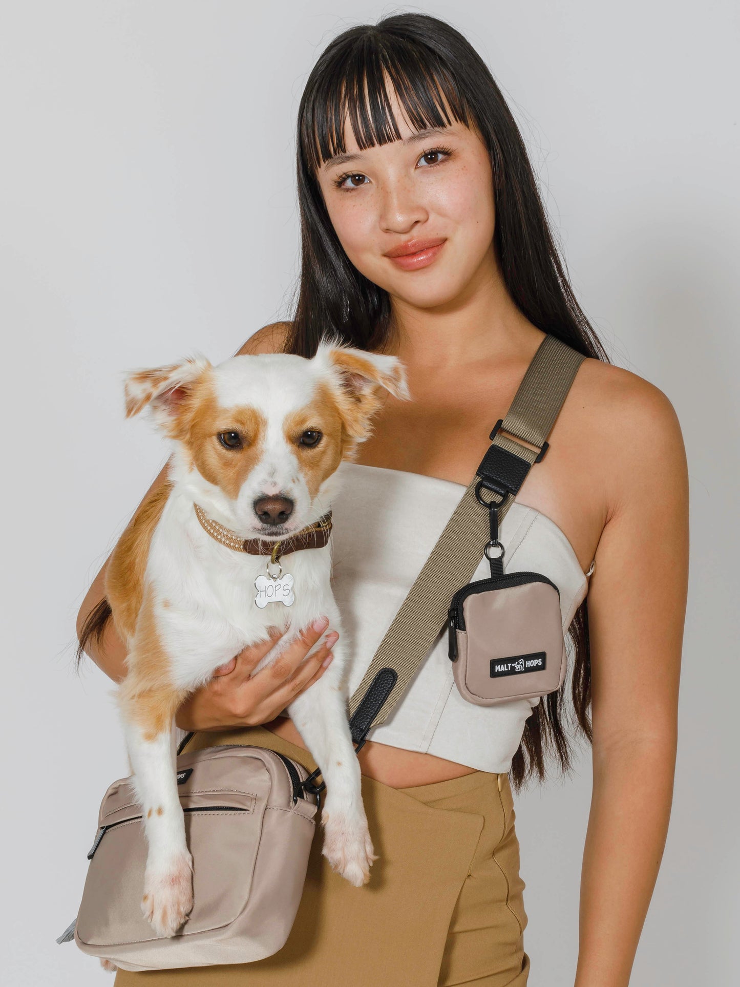Smokey Taupe Ale Dog Walking Bag Set