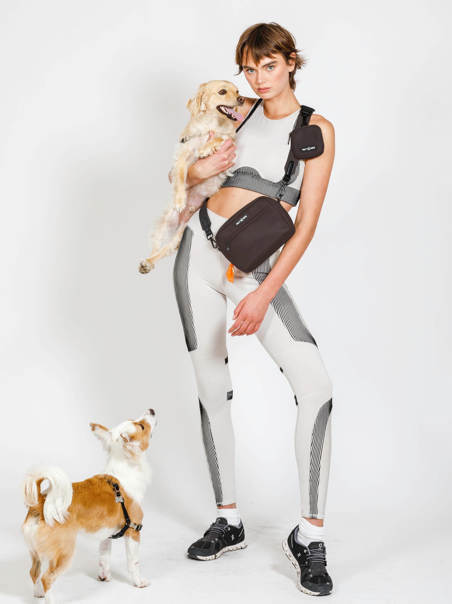 Porter Brown Dog Walking Bag Set