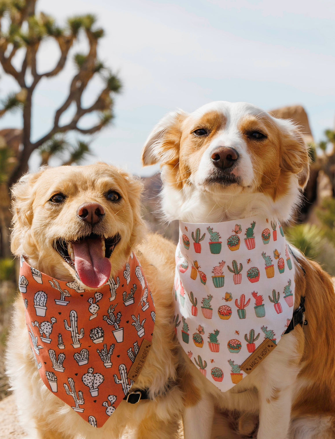 Bandana