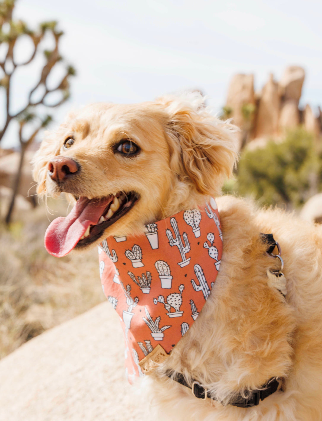 Bandana